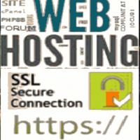 Gazduire Starter - Web Host (Spatiu: 2 GB, Trafic lunar: 100 GB, Domenii Gazduite: 3, Baze de date: 3, Subdomenii: 10)