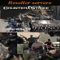 Reseller gazduire servere - 3 IP-uri, 3 Host servere ( CS1.6, MOHAA, SAMP),  3 baze de date mysql,  perioada 1 luna